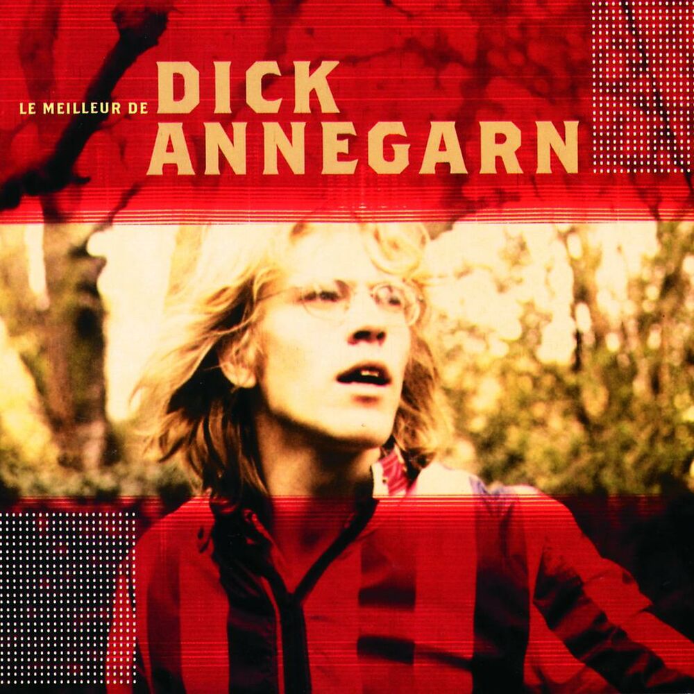 Picture of Le Meilleur De Dick Annegarn