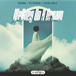 Cover of Walking On A Dream