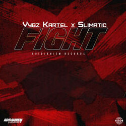 Cover of Fight