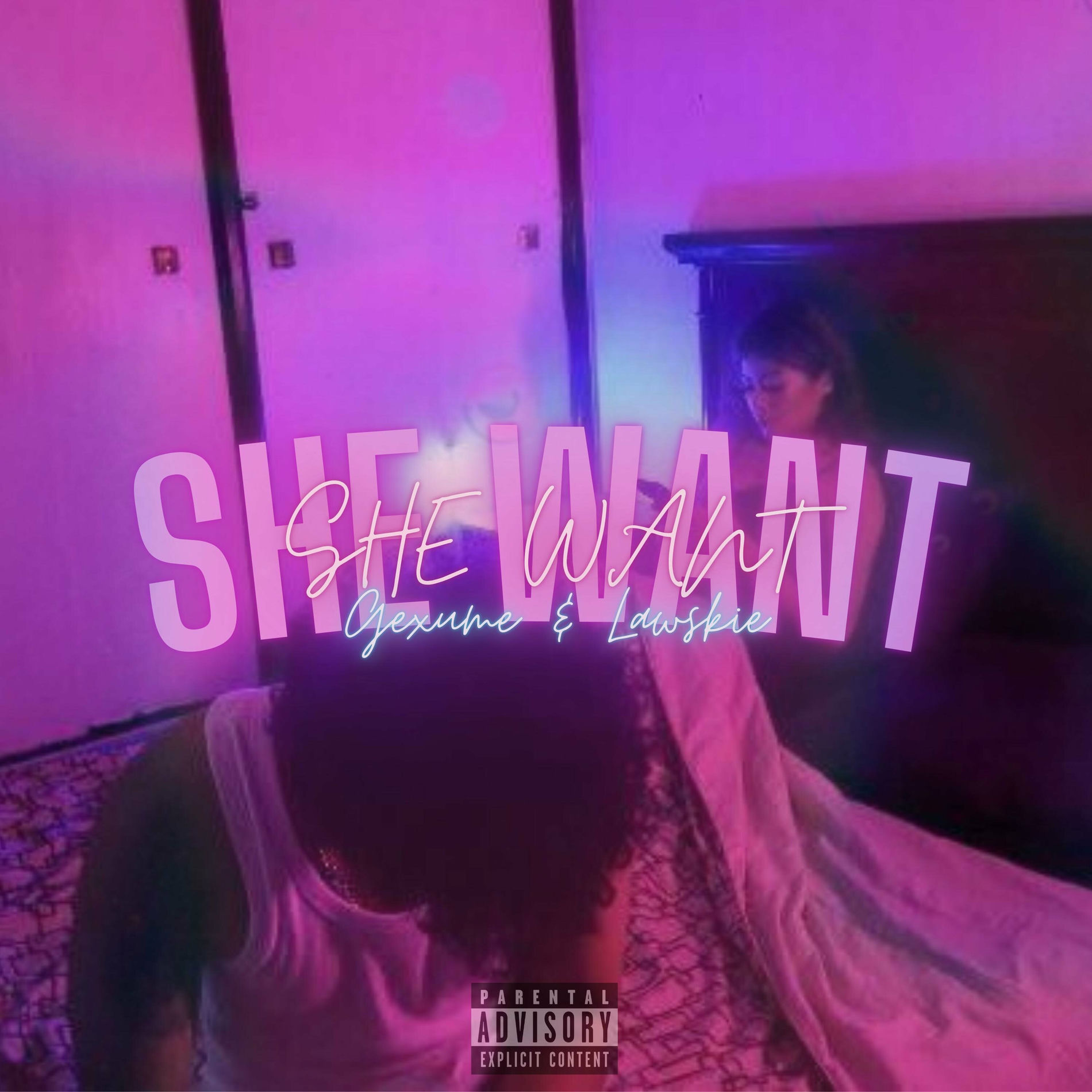 Album cover of She Want (feat. Lawskie)