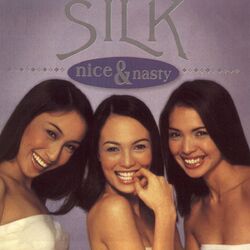 Cover of Nice And Nasty