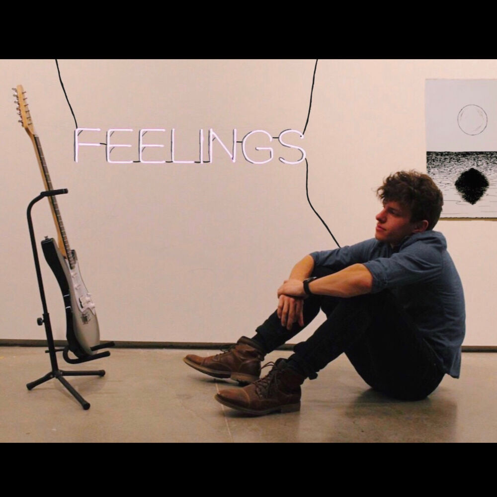 Picture of Feelings
