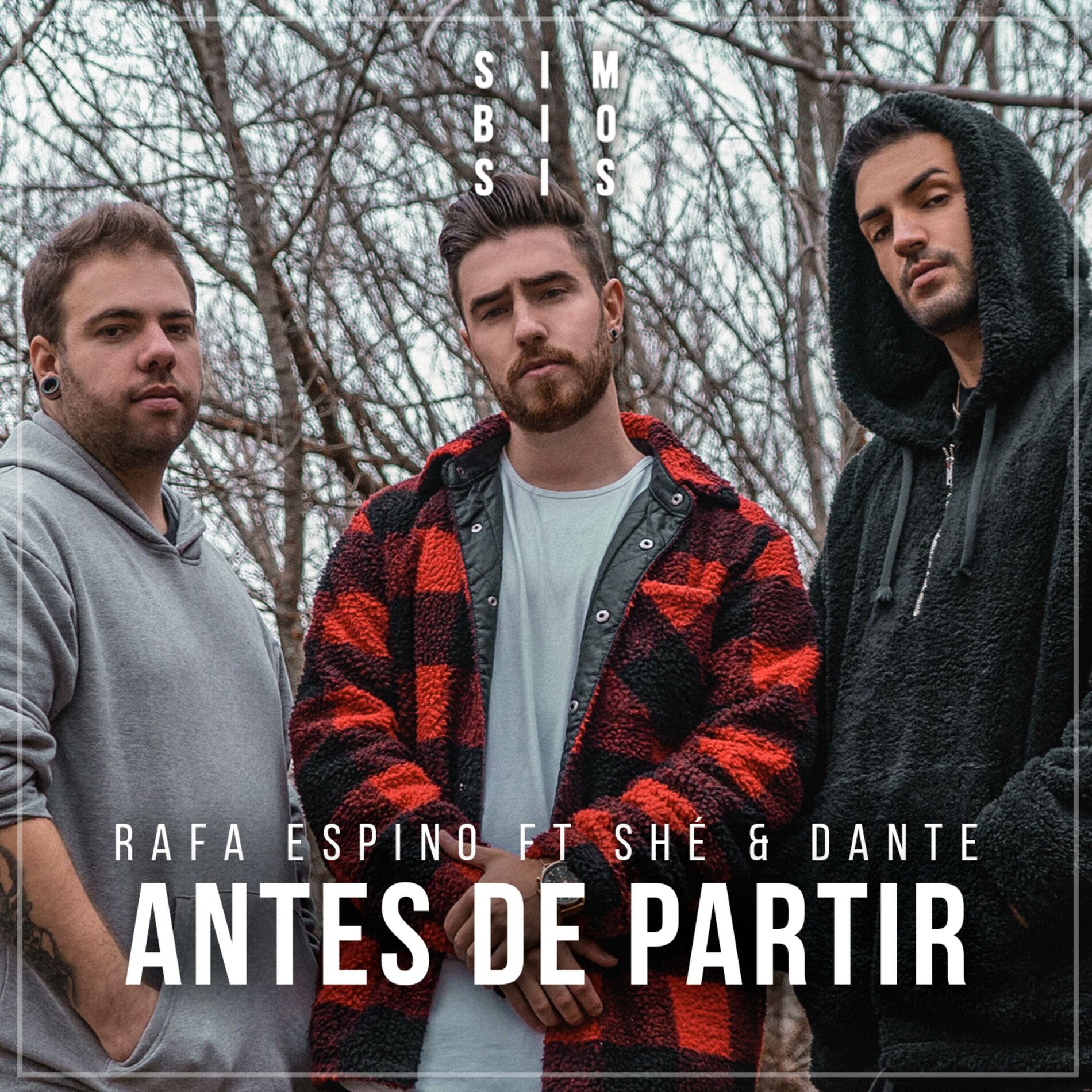 Album cover of Antes de Partir