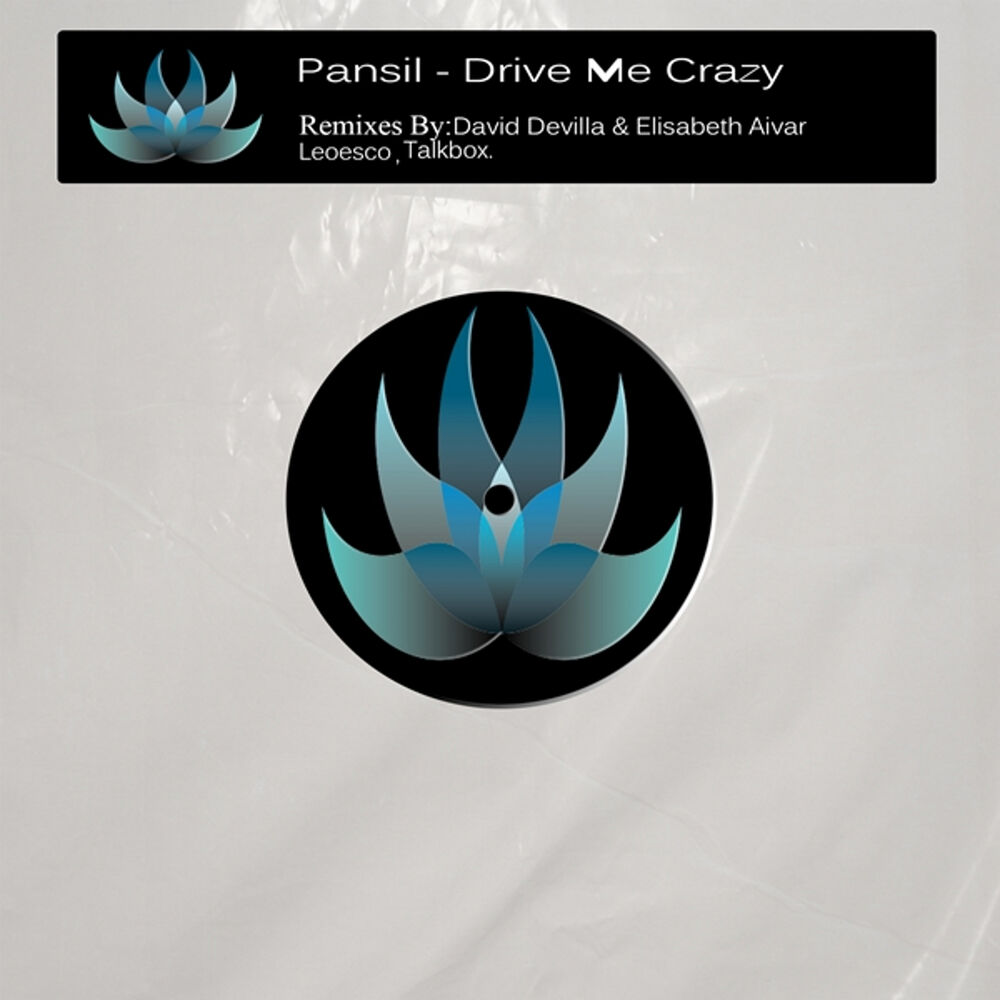 Picture of Drive Me Crazy