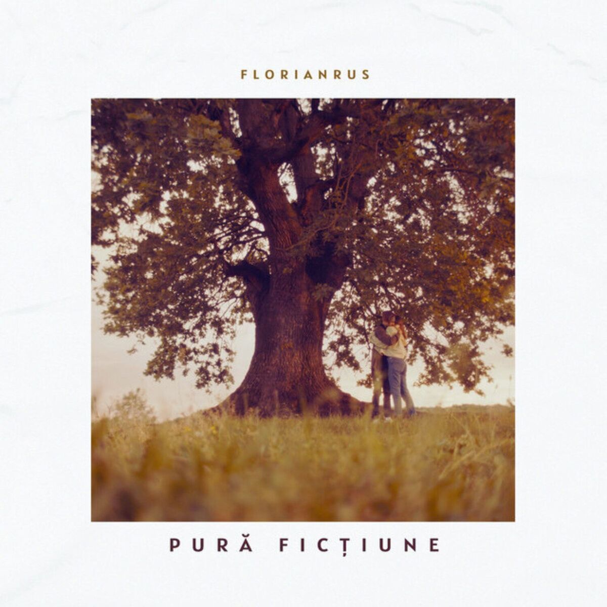 Album cover of Pură Ficțiune