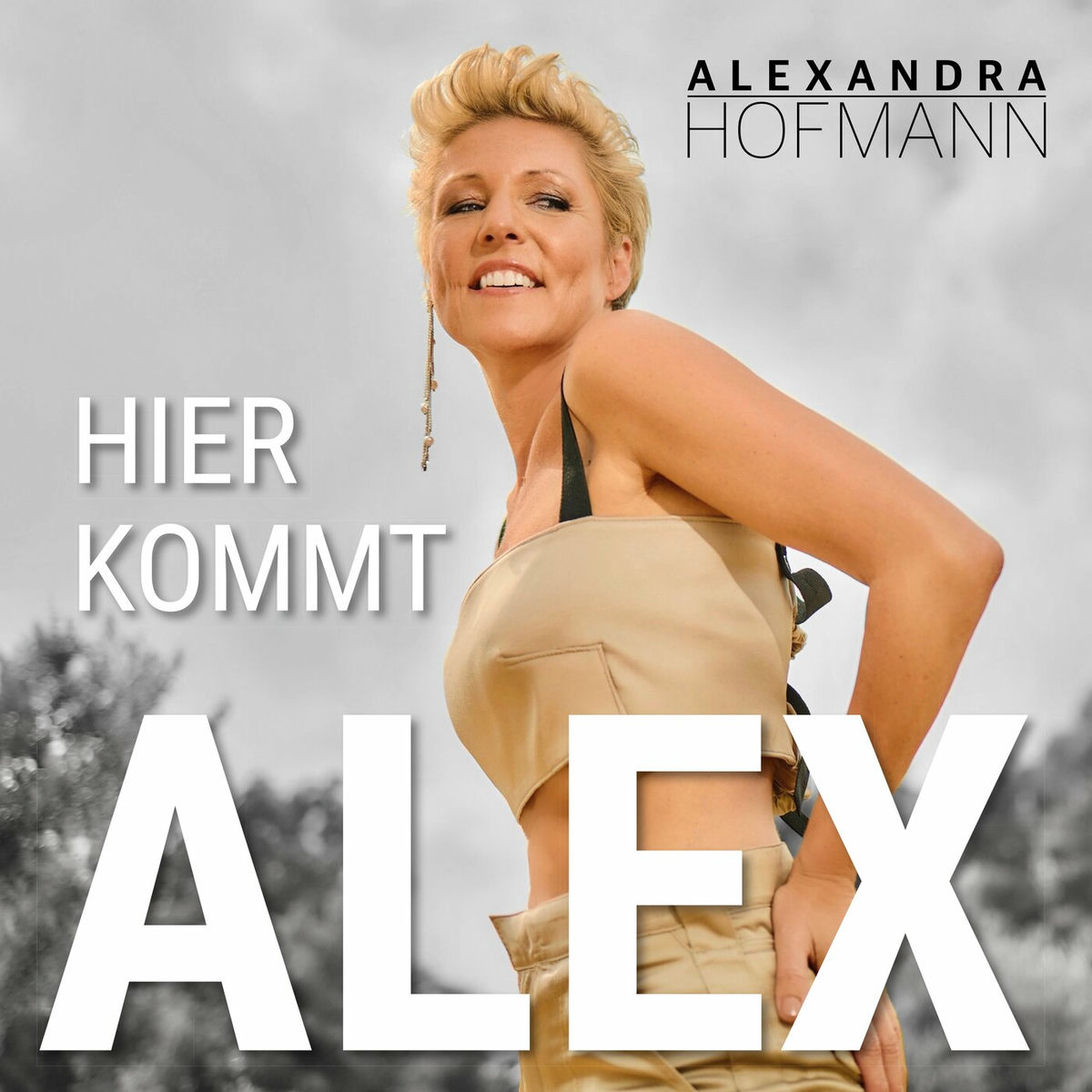 Album cover of Hier kommt Alex