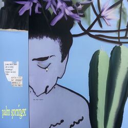 Cover of PALM SPRINGS