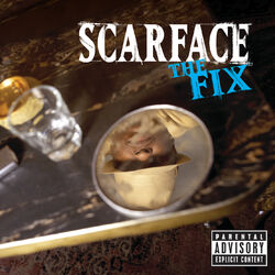 Cover of The Fix