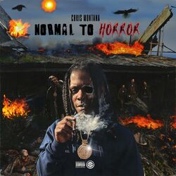 Cover of Normal To Horror