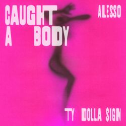 Cover of Caught A Body