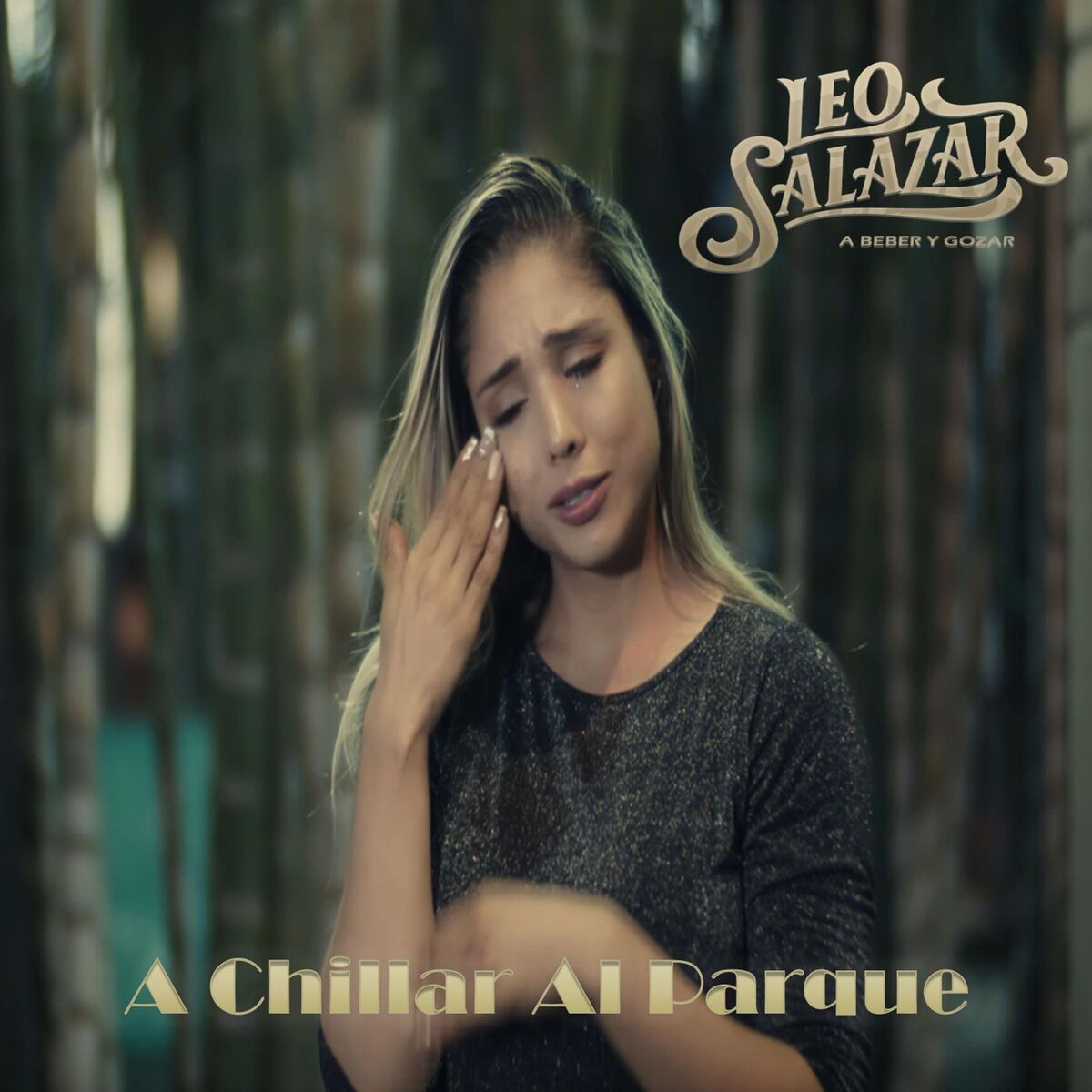 Album cover of A Chillar al Parque