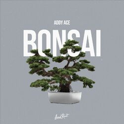 Cover of Bonsai