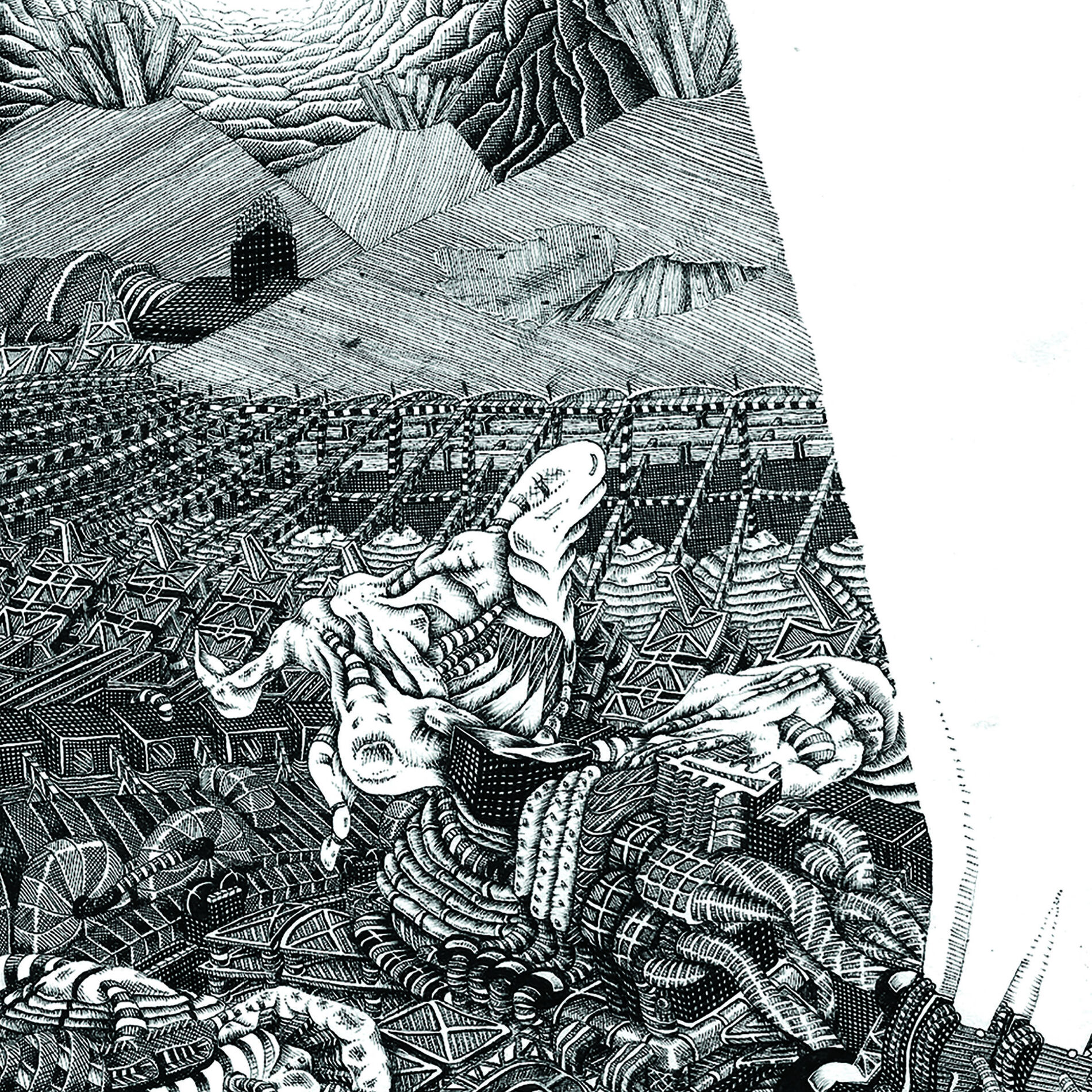 Album cover of The Harvest Of A Quiet Eye