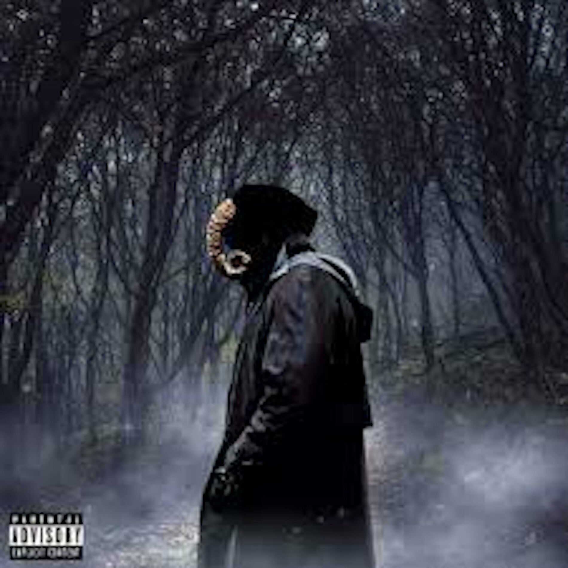 Album cover of Pdl