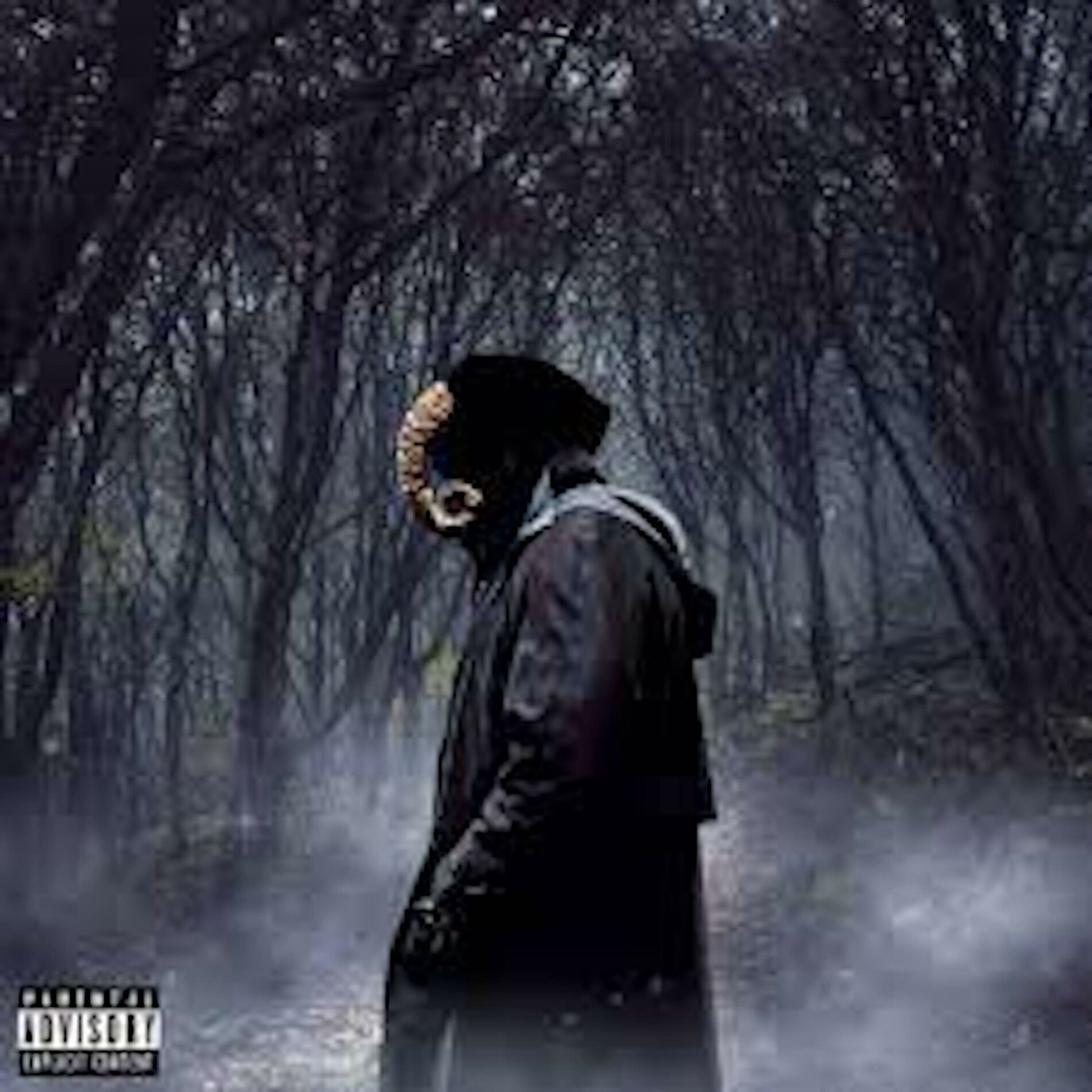 Album cover of Pdl