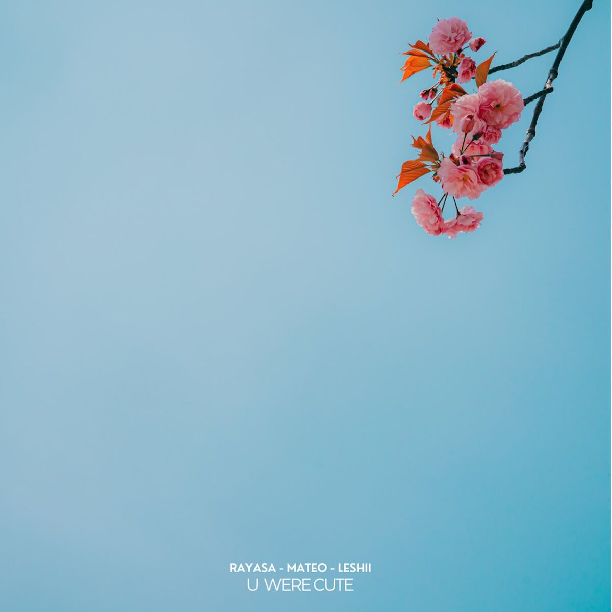 Album cover of U Were Cute