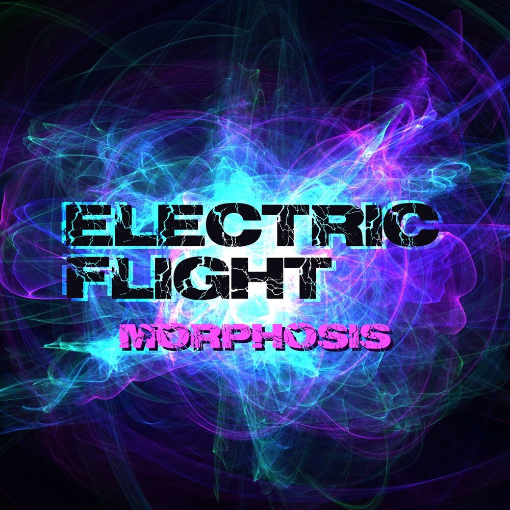 Picture of Electric Flight