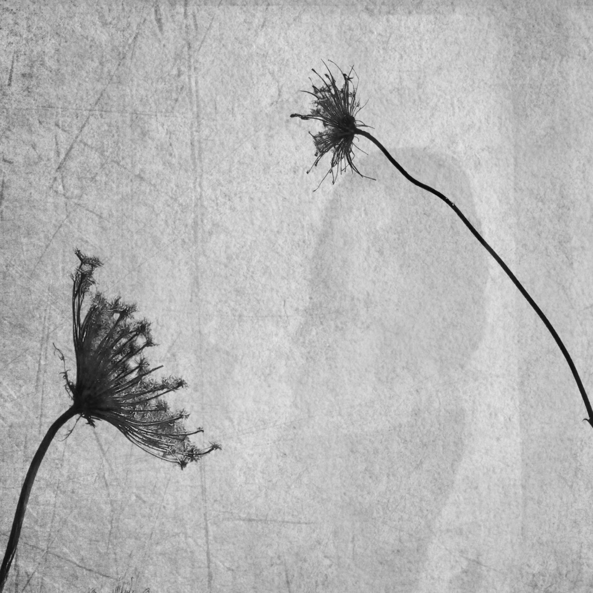 Album cover of Is It You
