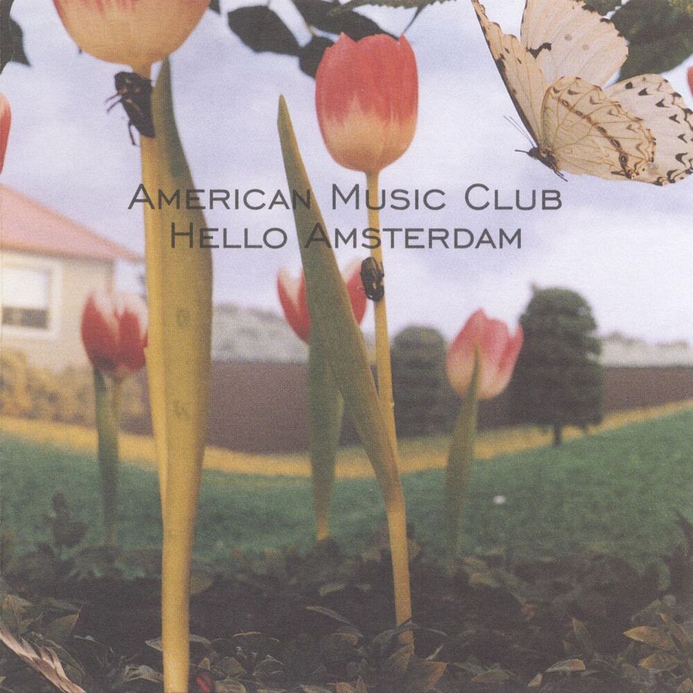 Picture of Hello Amsterdam