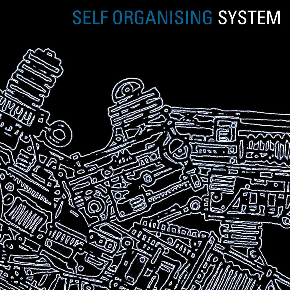 Picture of Self Organising System