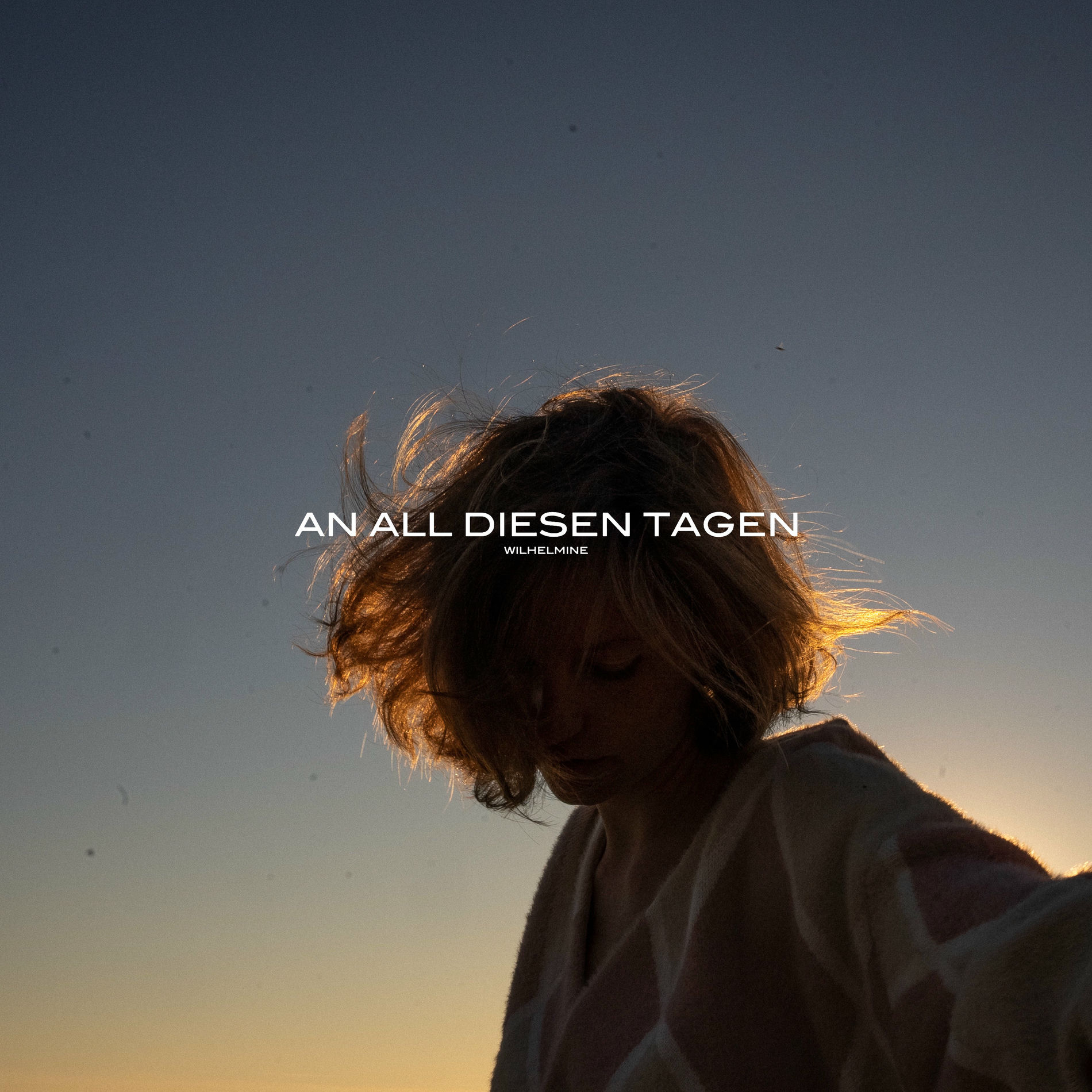 Album cover of an all diesen Tagen