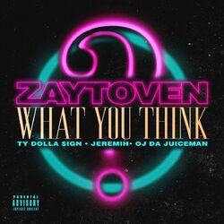 Cover of What You Think