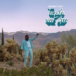 Cover of Tequila Ever After
