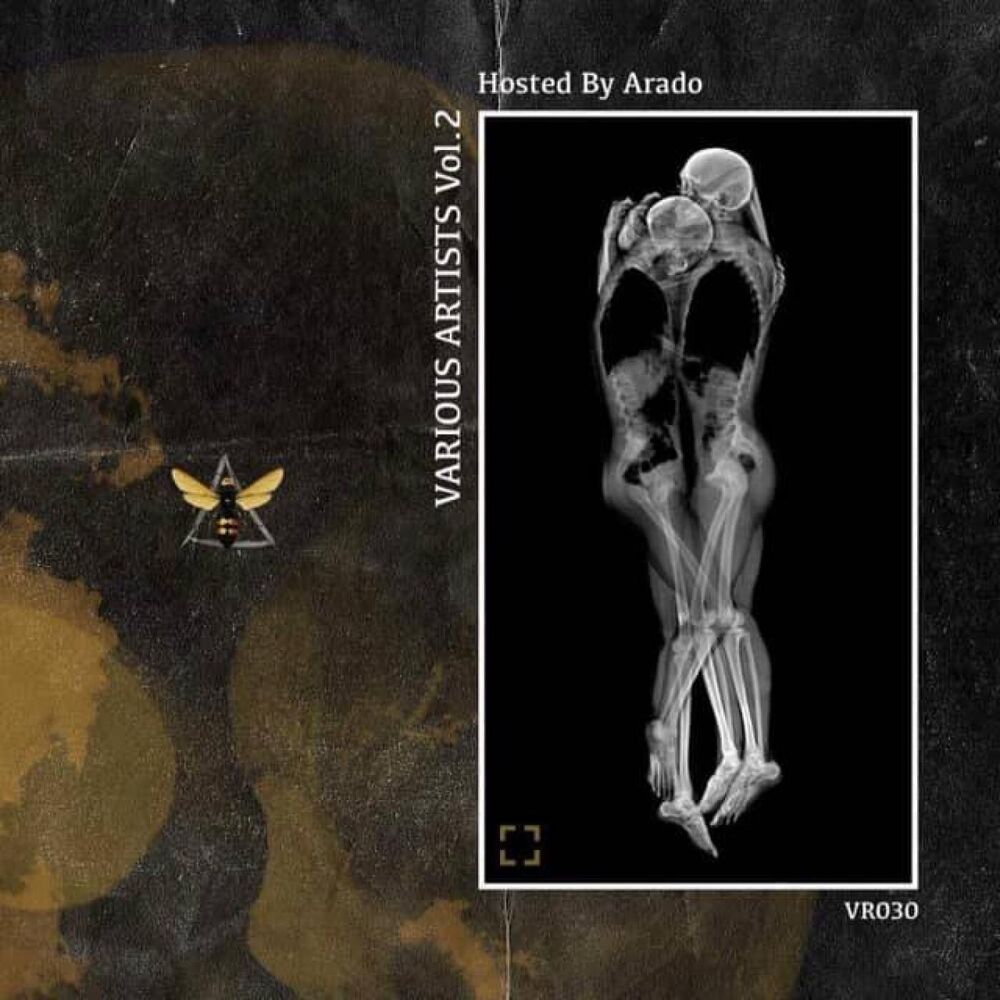 Picture of Various Artists hosted by Arado