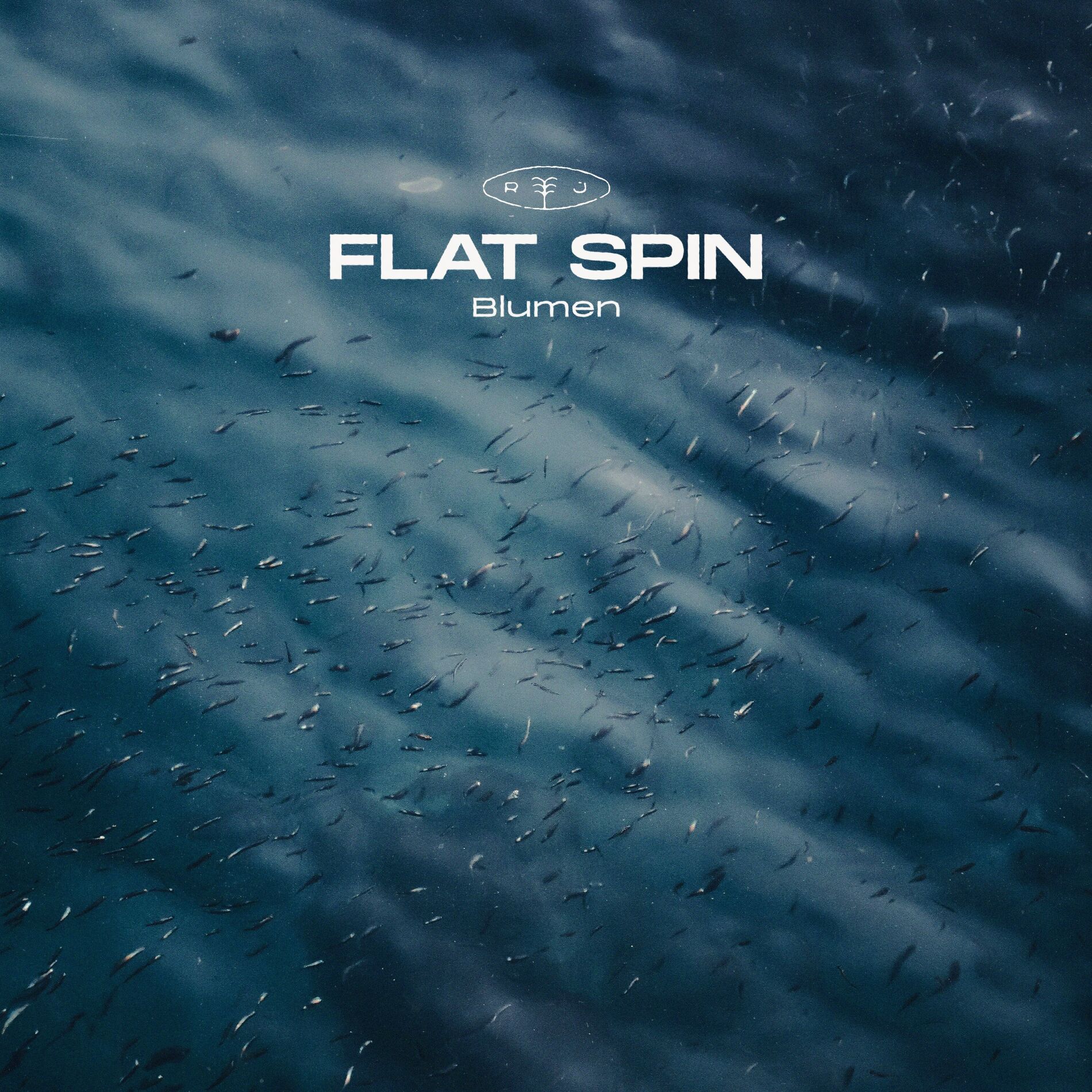 Album cover of Flat Spin