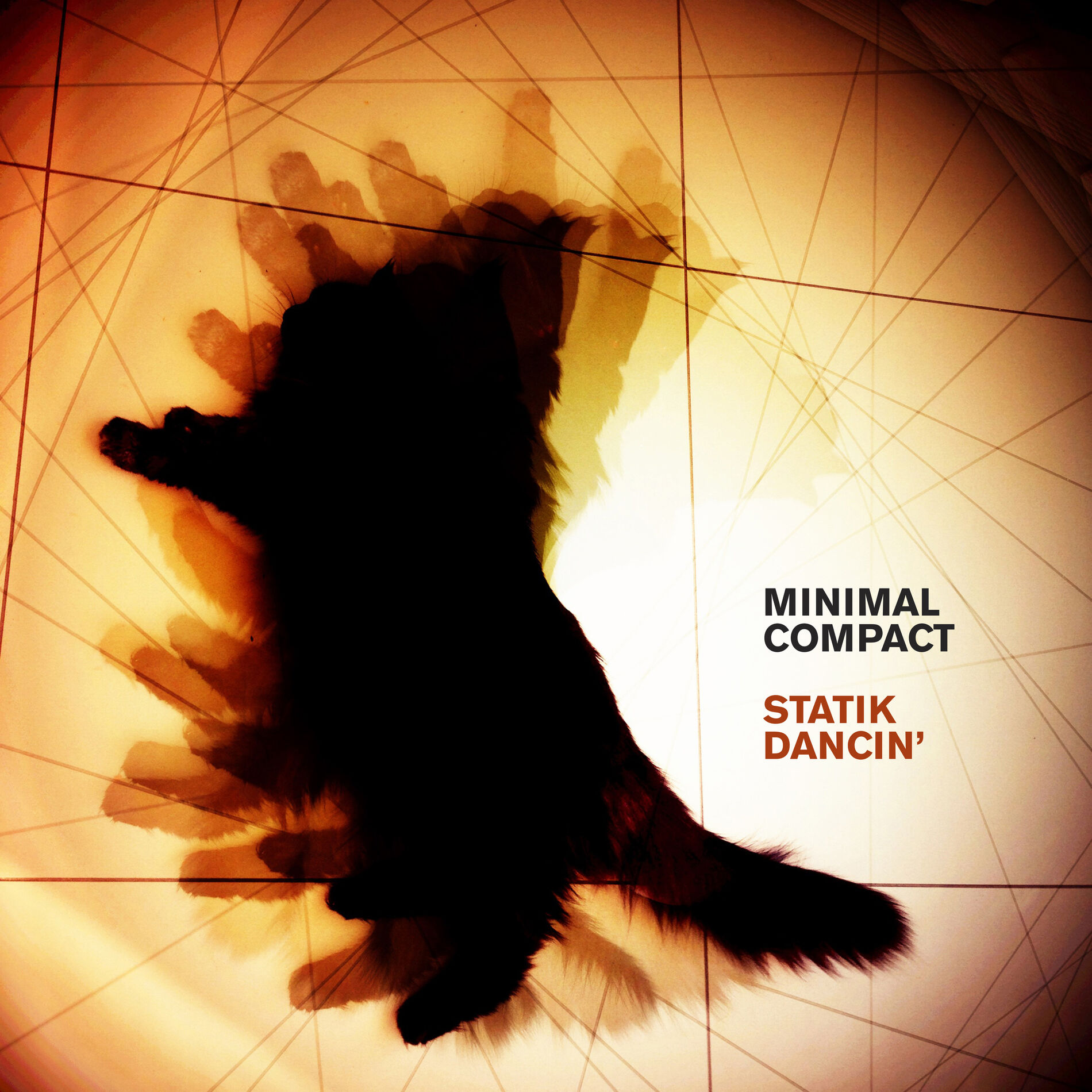 Album cover of Statik Dancin' (2019 Version)