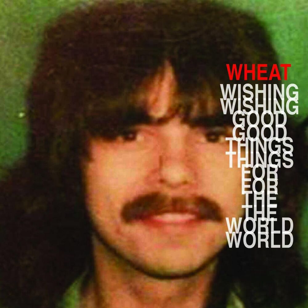 Picture of Wishing Good Things for the World
