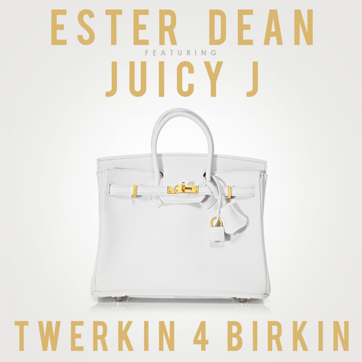 Album cover of Twerkin 4 Birkin (feat. Juicy J)