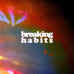 Cover of Breaking Habits