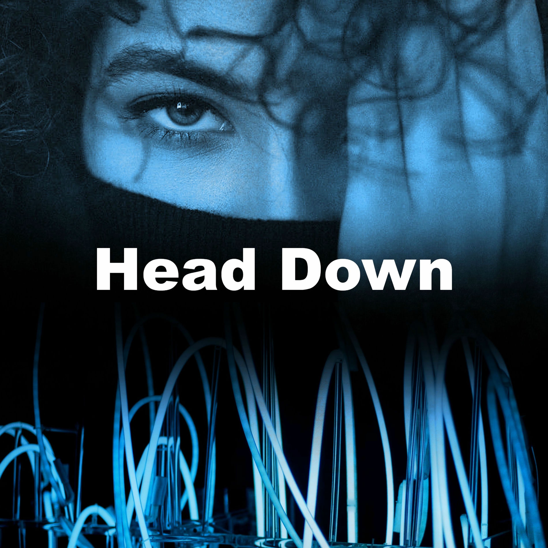 Album cover of Head Down