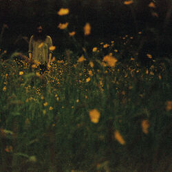 Cover of The Garden