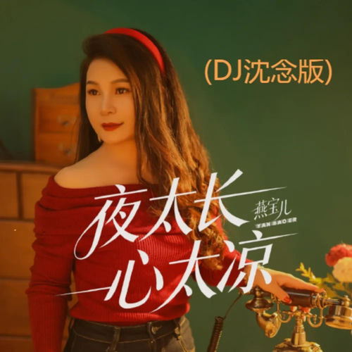 夜太长心太凉 (DJ沈念版)