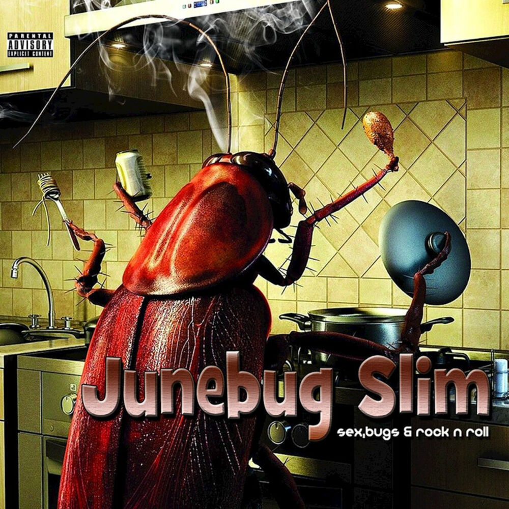 Picture of Sex, Bugs & Rock n Roll