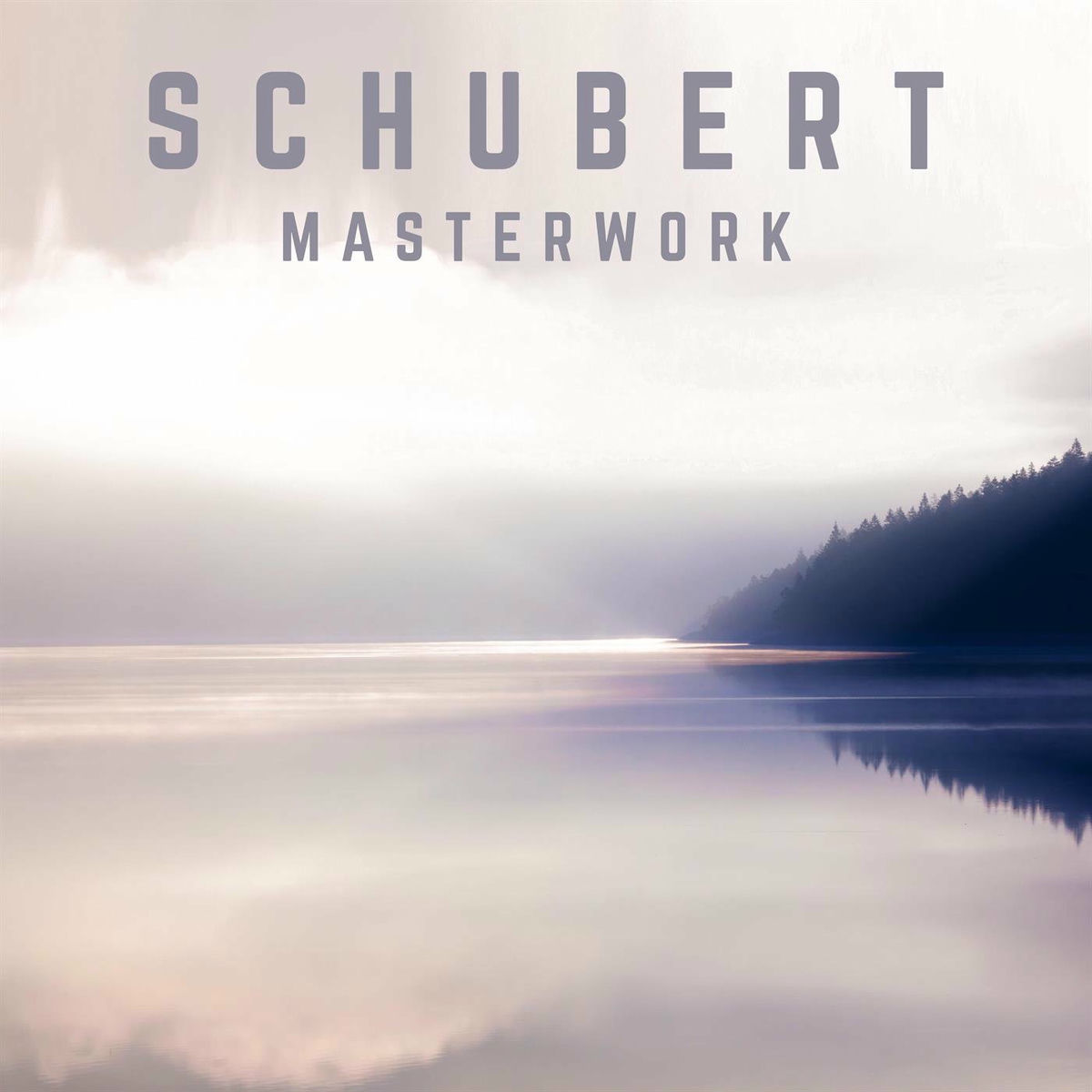 Album cover of Schubert: Masterwork