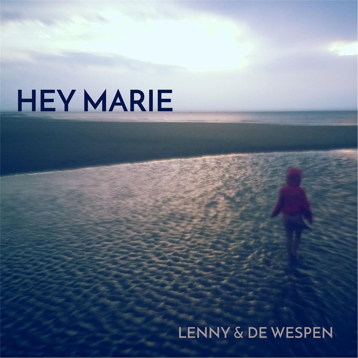 Album cover of Hey Marie