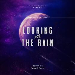 Cover of Looking for the Rain