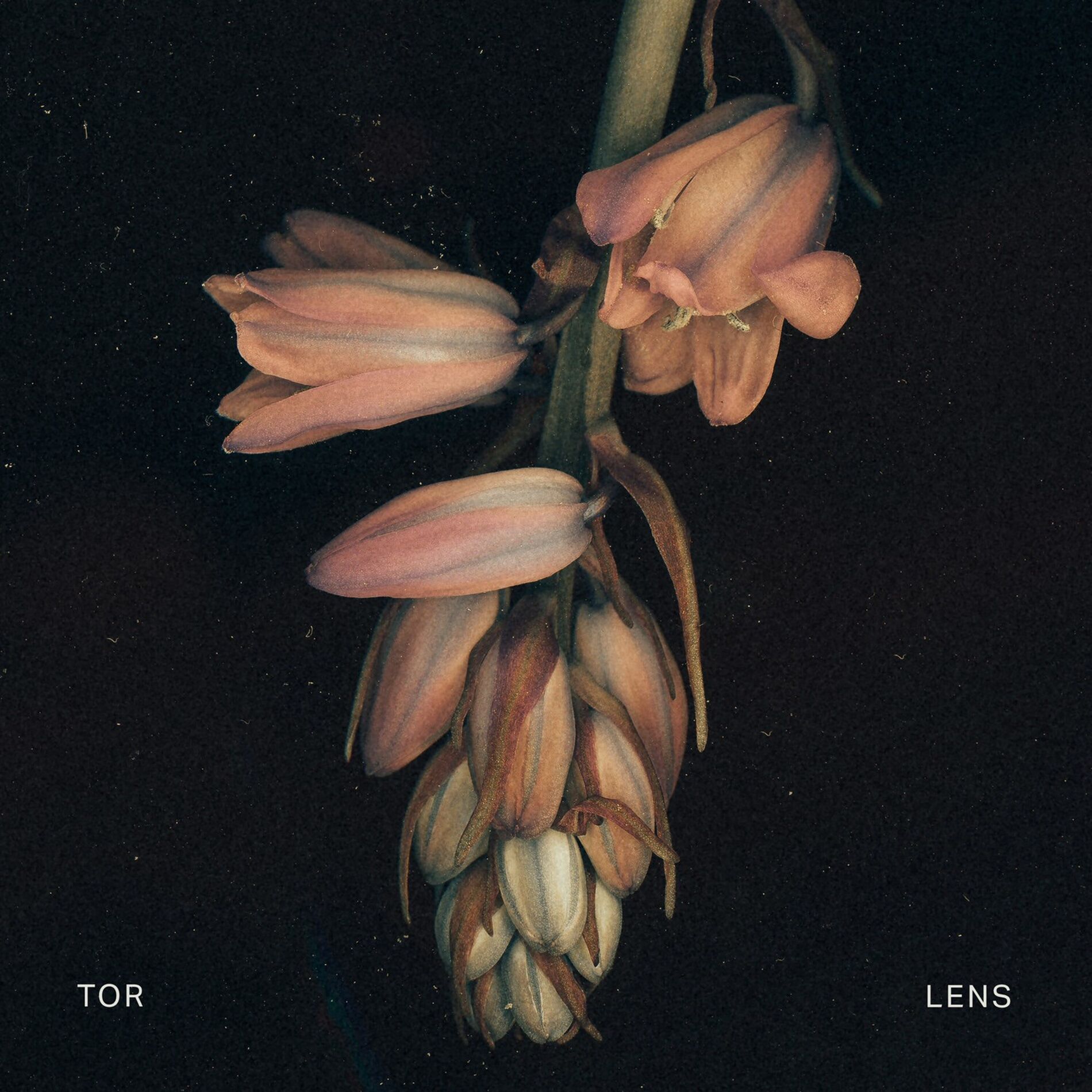Album cover of Lens
