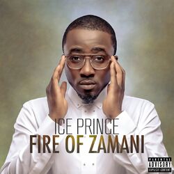 Cover of Fire of Zamani