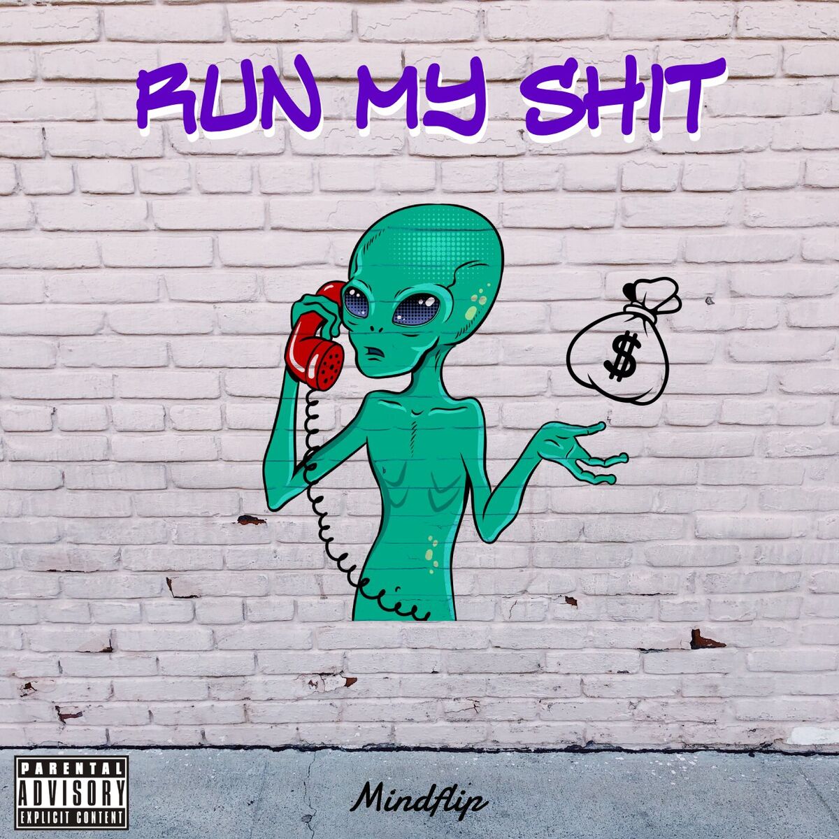 Album cover of Run My Shit