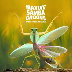 Cover of Maxixe Samba Groove