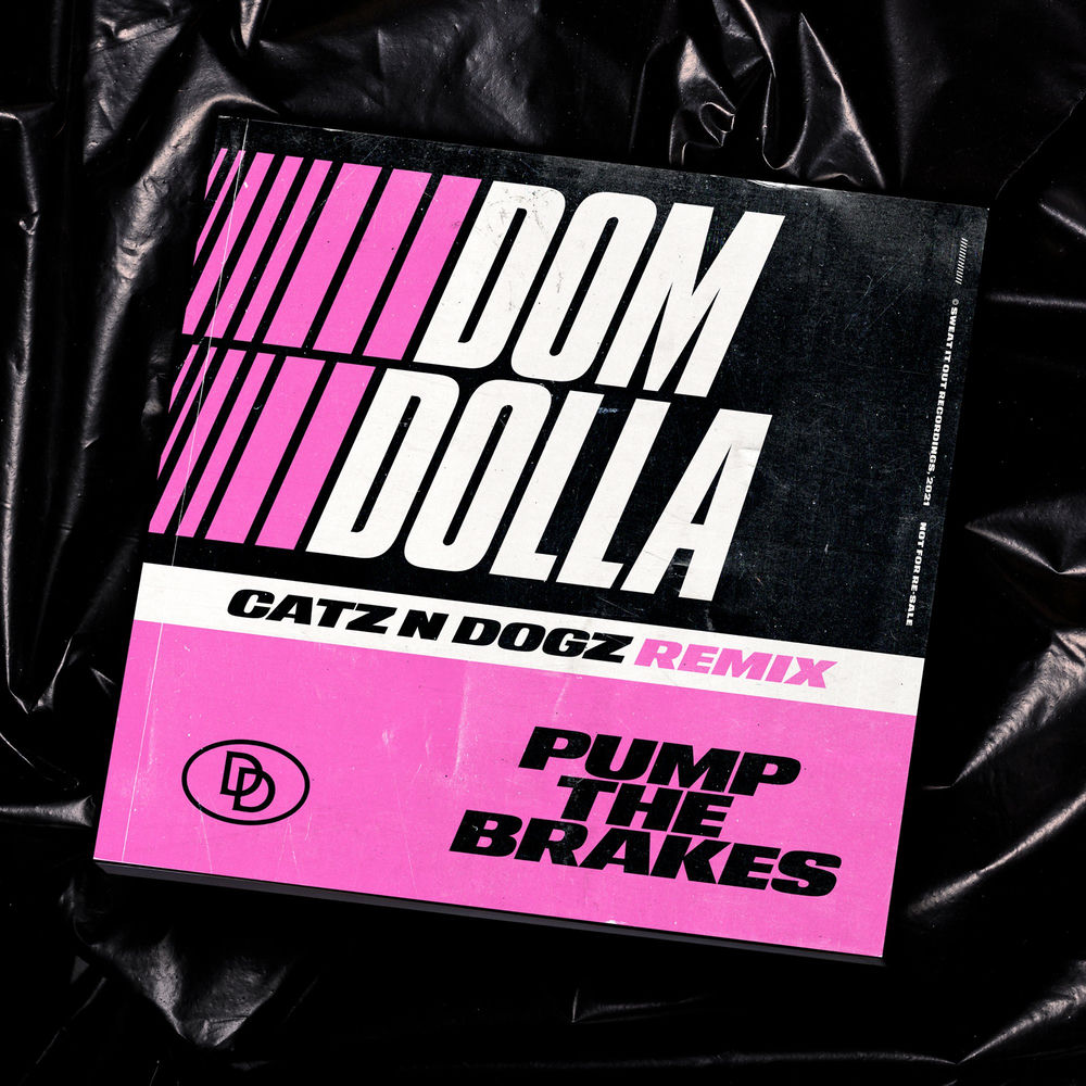 Pump The Brakes (Catz 'n Dogz Remix) by Dom Dolla