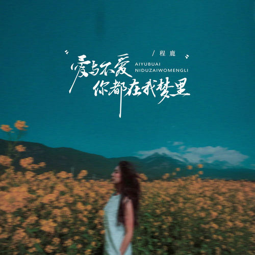 爱与不爱你都在我梦里