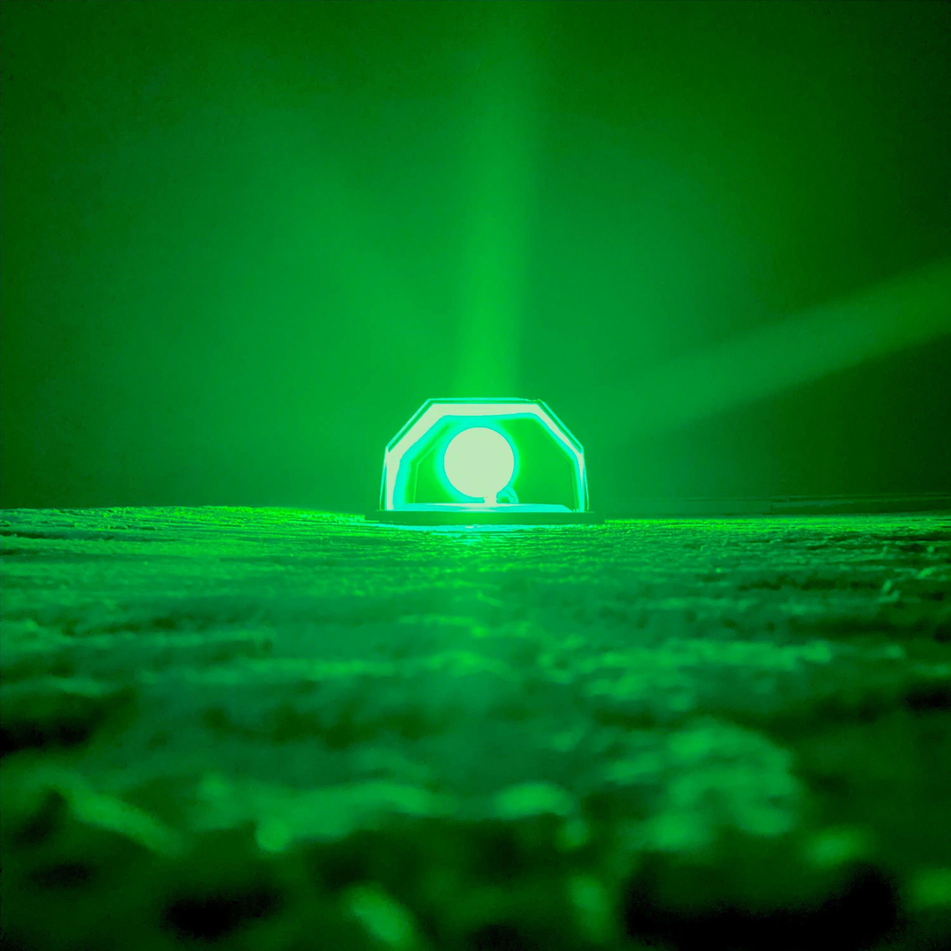 Album cover of Army Dreamers in 29edo