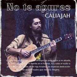 Cover of No te apures