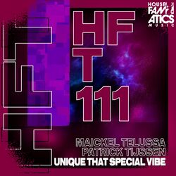 Cover of Unique That Special Vibe