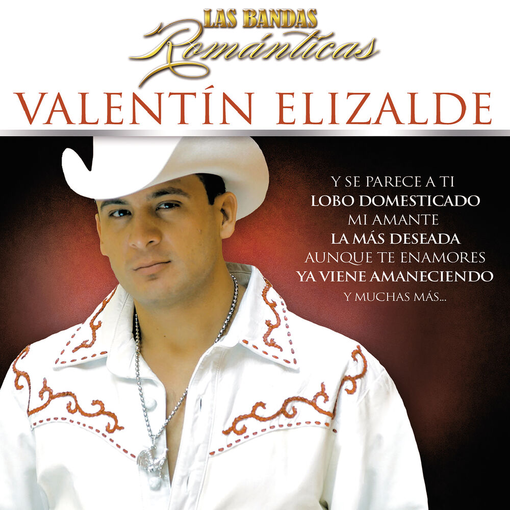 Picture of Las Bandas Románticas